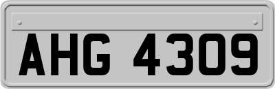 AHG4309