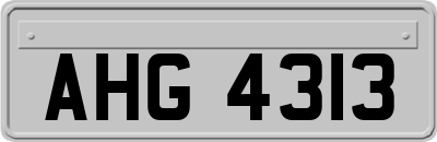 AHG4313
