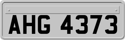 AHG4373