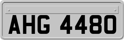 AHG4480