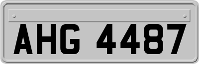 AHG4487