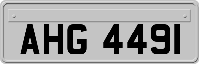 AHG4491