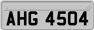 AHG4504