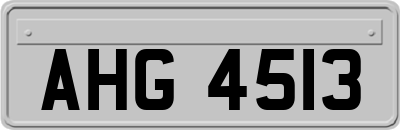 AHG4513