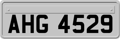 AHG4529