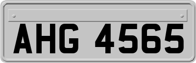 AHG4565