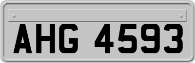 AHG4593