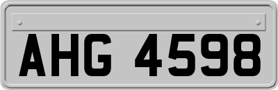 AHG4598