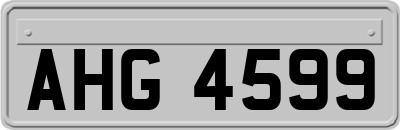 AHG4599