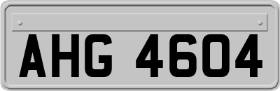 AHG4604