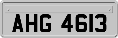 AHG4613