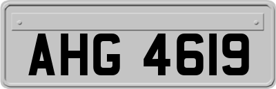 AHG4619