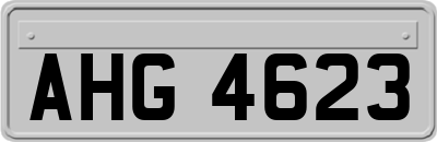 AHG4623