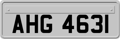 AHG4631