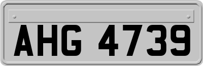 AHG4739