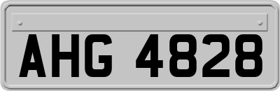 AHG4828