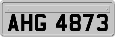 AHG4873