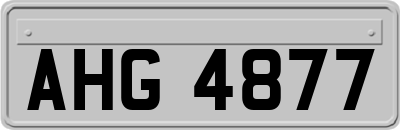 AHG4877
