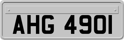 AHG4901