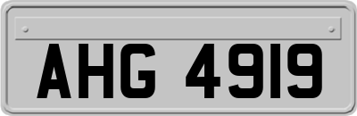 AHG4919