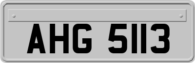 AHG5113