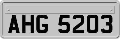 AHG5203
