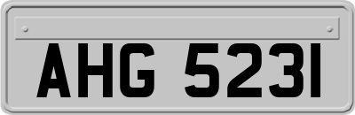 AHG5231
