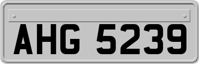 AHG5239