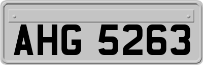 AHG5263