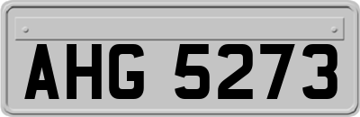 AHG5273