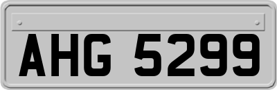 AHG5299