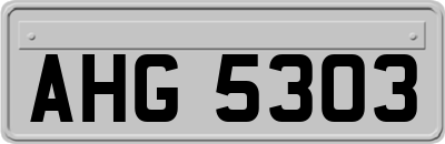 AHG5303