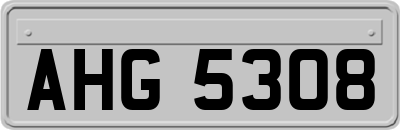 AHG5308