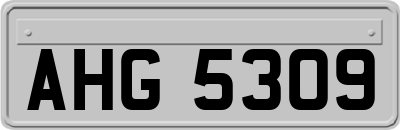 AHG5309