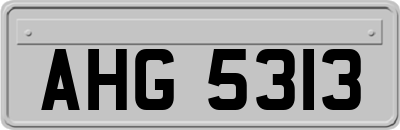 AHG5313