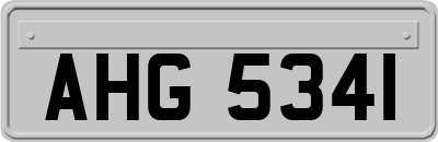 AHG5341