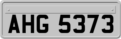 AHG5373