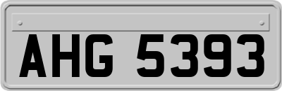 AHG5393