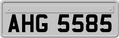 AHG5585