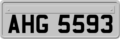 AHG5593