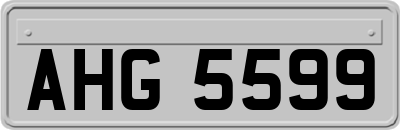 AHG5599