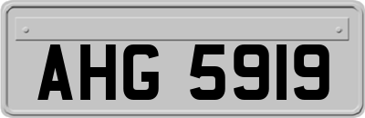 AHG5919
