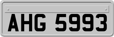 AHG5993