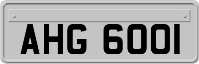 AHG6001