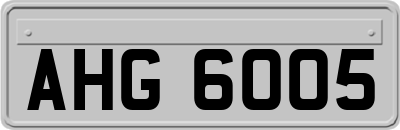 AHG6005