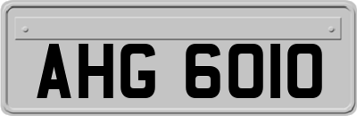 AHG6010
