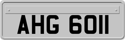 AHG6011