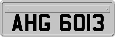 AHG6013