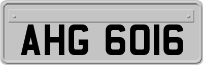 AHG6016