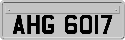 AHG6017